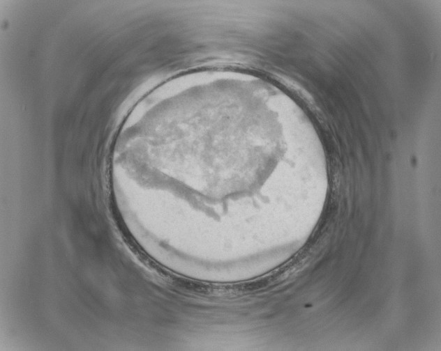 X0000064041375200602242310