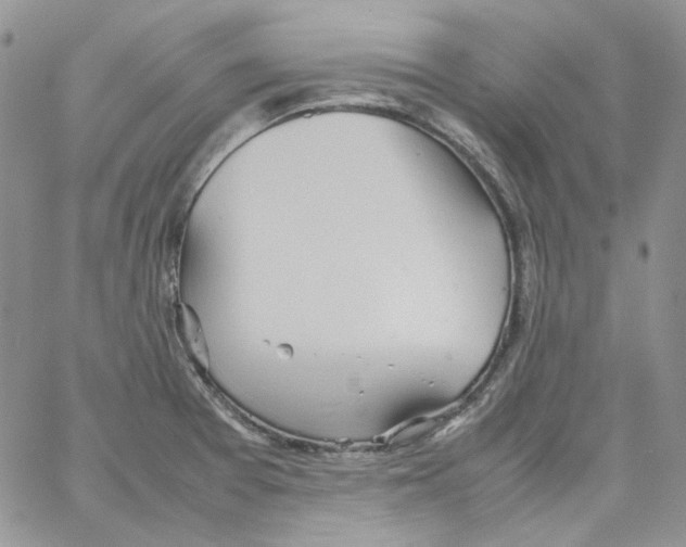 X0000064041377200602242310