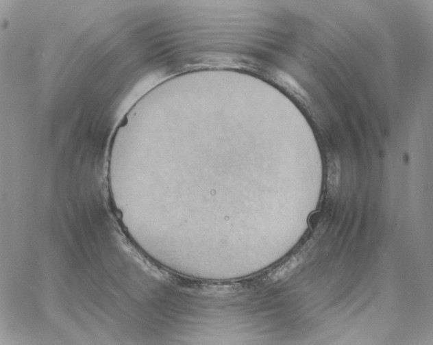 X0000064041378200602242310