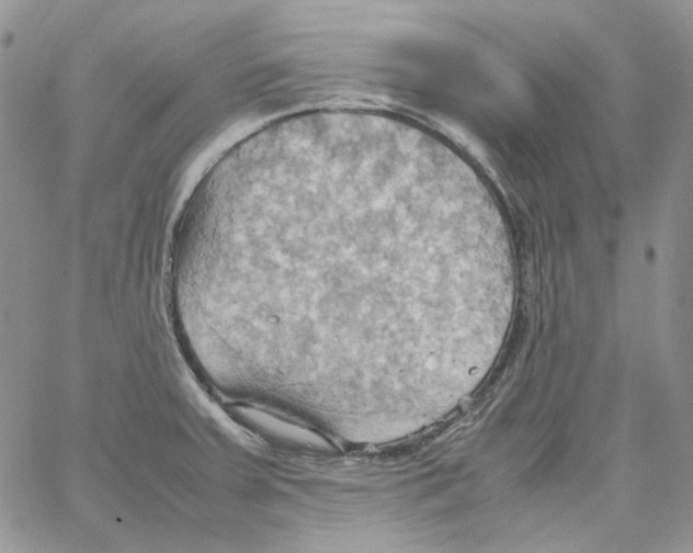 X0000064041379200602242310