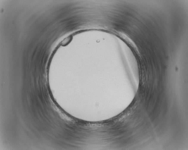 X0000064041380200602242310