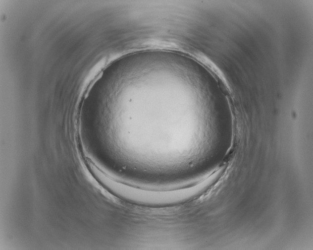 X0000064041381200602242310