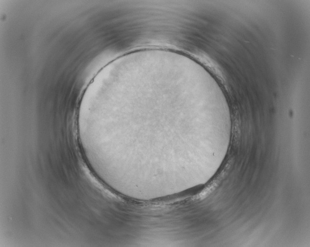 X0000064041382200602242310