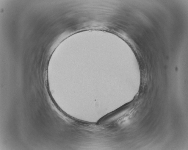 X0000064041383200602242310