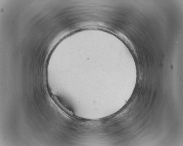 X0000064041384200602242310