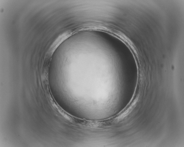 X0000064041385200602242310