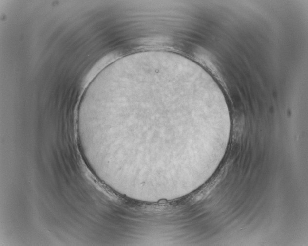 X0000064041386200602242310