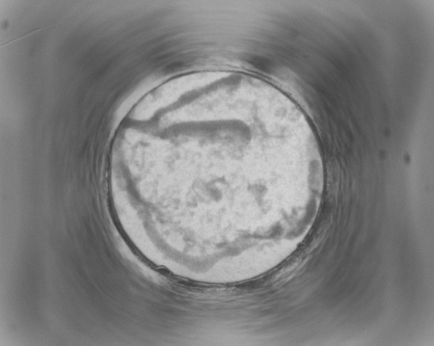 X0000064041387200602242309