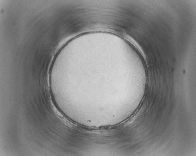 X0000064041388200602242309