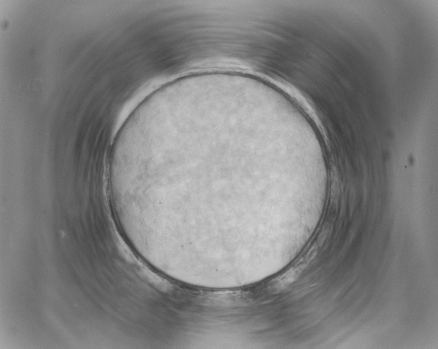 X0000064041390200602242309