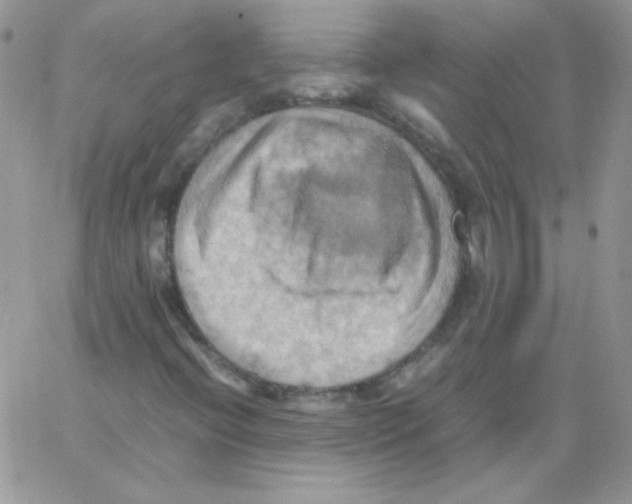 X0000064041396200602242309