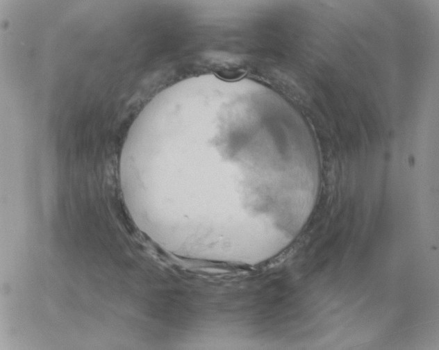 X0000064041397200602242309