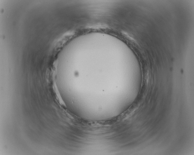 X0000064041398200602242309