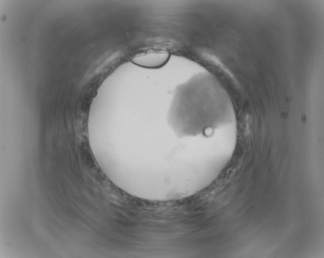 X0000064041399200602242309