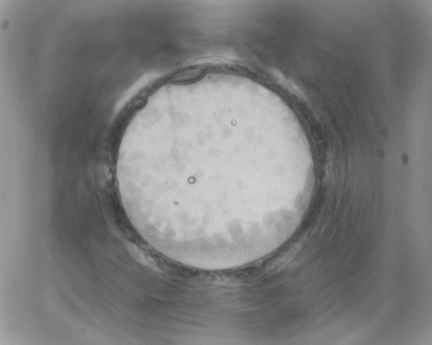 X0000064041400200602242309