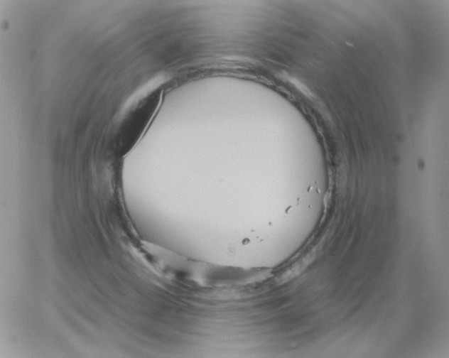 X0000064041402200602242309