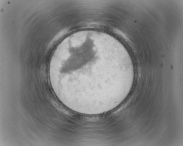 X0000064041403200602242309