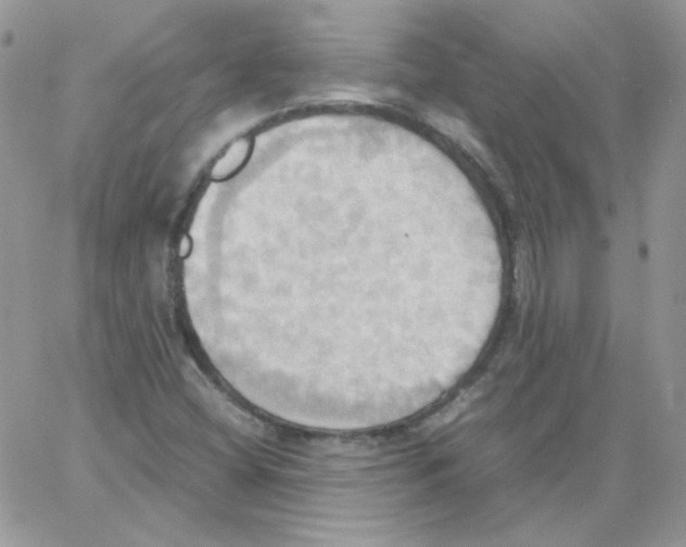 X0000064041404200602242309