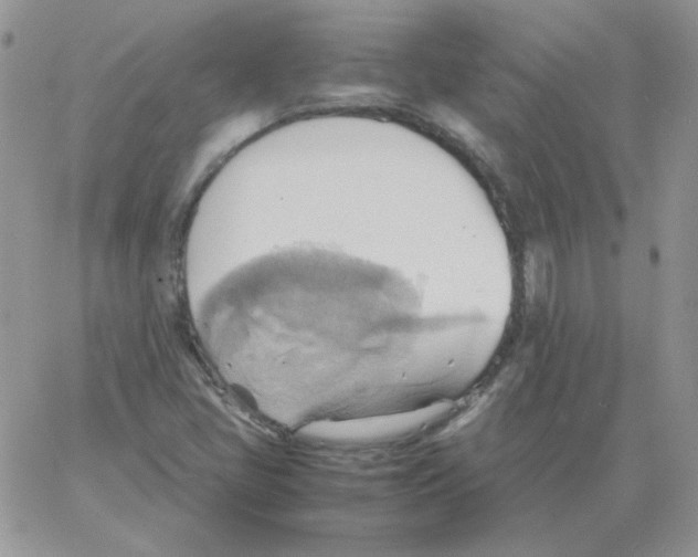 X0000064041405200602242309