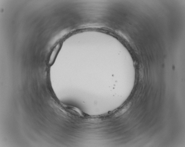 X0000064041406200602242309