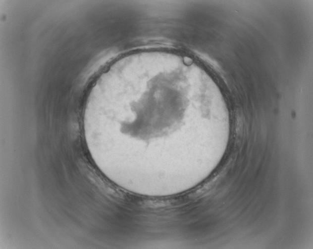 X0000064041407200602242309