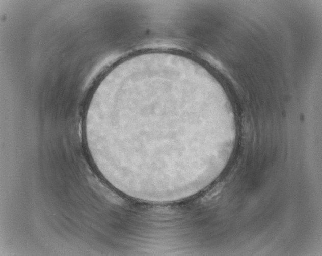 X0000064041408200602242309