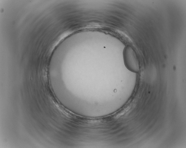 X0000064041409200602242309