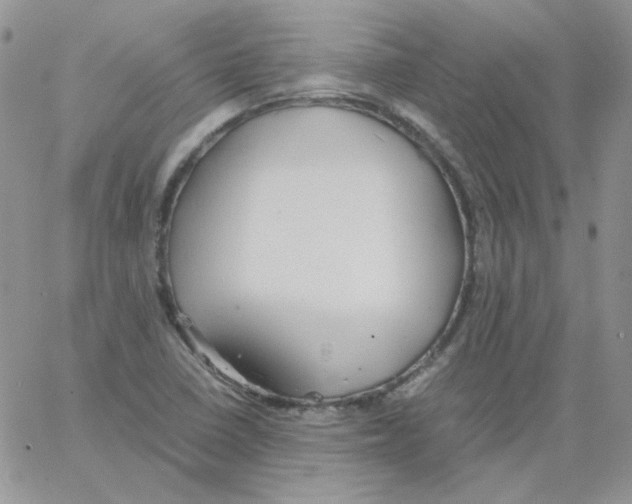 X0000064041410200602242309