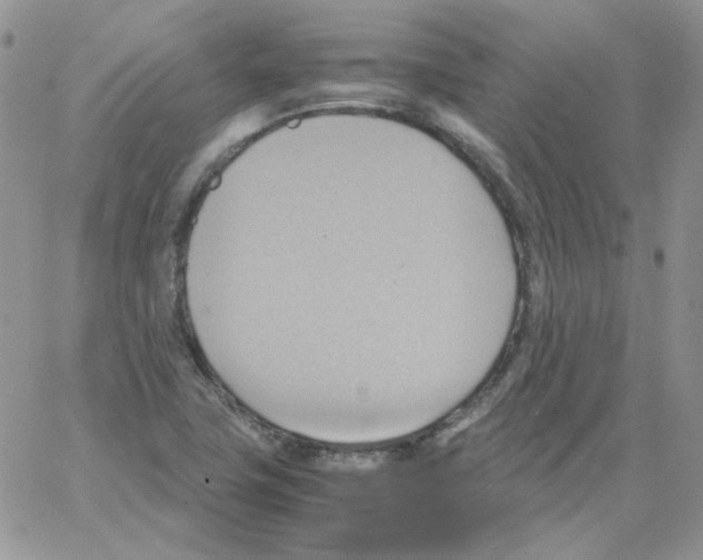 X0000064041411200602242309