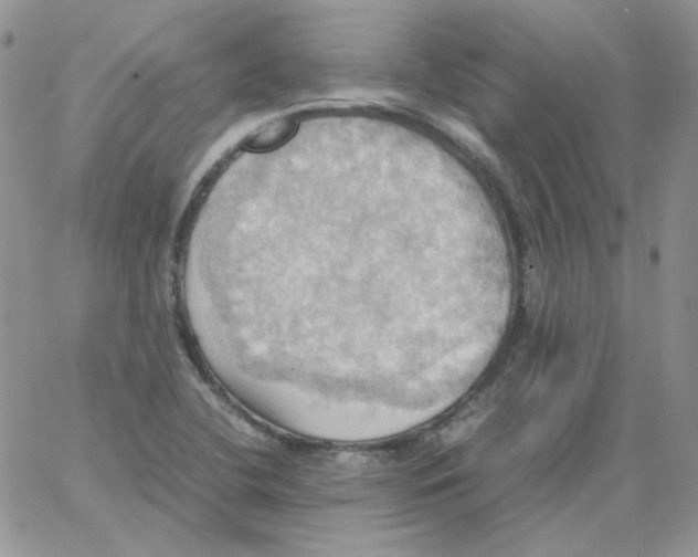 X0000064041412200602242309