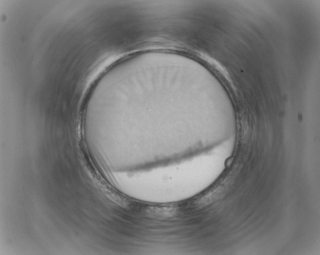 X0000064041415200602242309