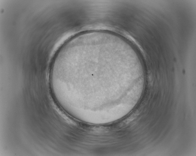 X0000064041416200602242309