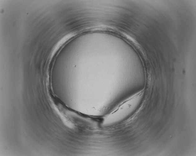 X0000064041418200602242309