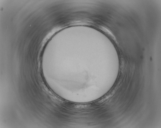 X0000064041419200602242309