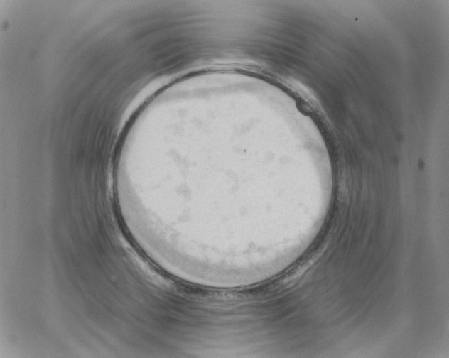 X0000064041420200602242309