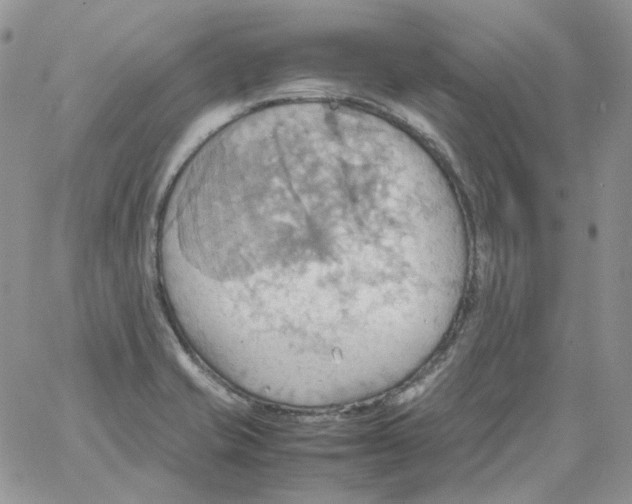 X0000064041421200602242309