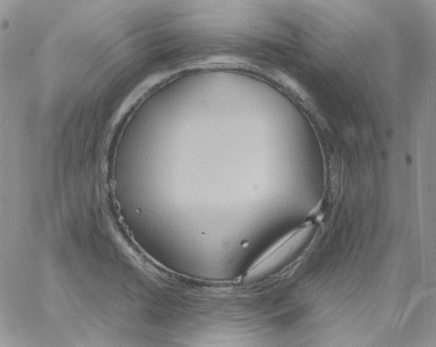 X0000064041422200602242309