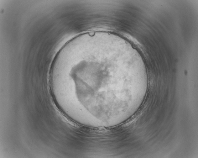 X0000064041423200602242309