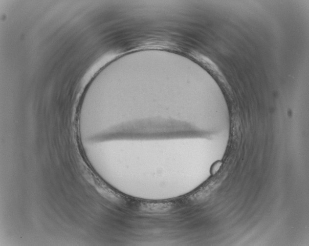 X0000064041427200602242309