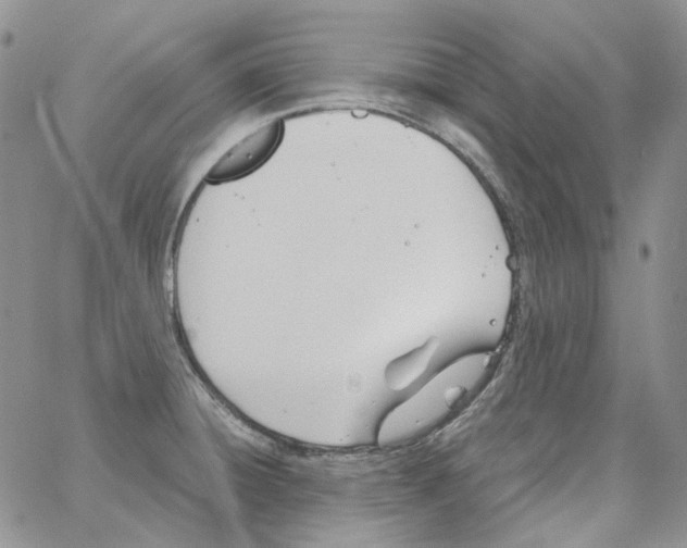 X0000064041428200602242309