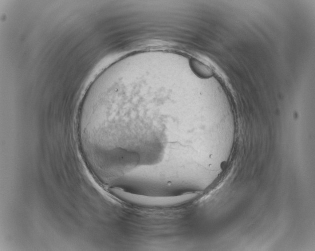 X0000064041429200602242309