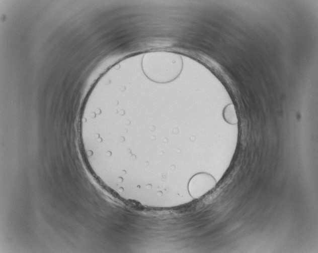 X0000064041432200602242309