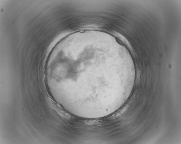 X0000064041435200602242309