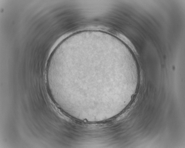 X0000064041436200602242309