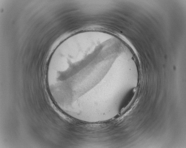 X0000064041437200602242309