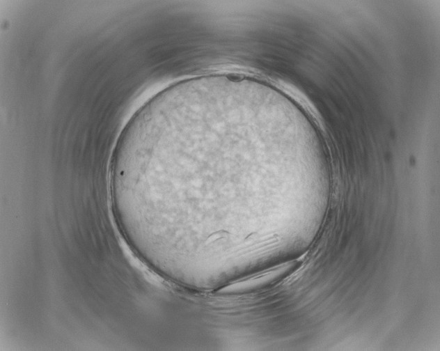 X0000064041439200602242309