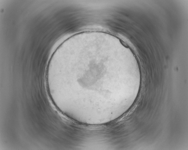 X0000064041440200602242309