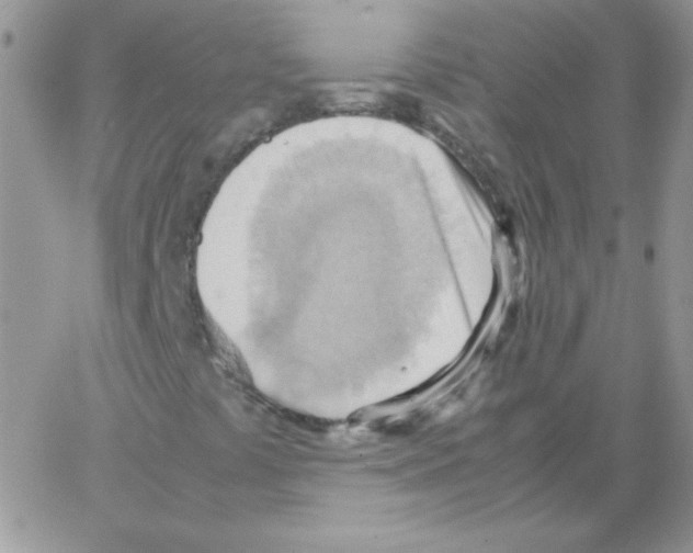 X0000064041441200602242309