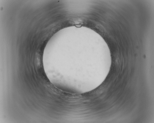 X0000064041442200602242309