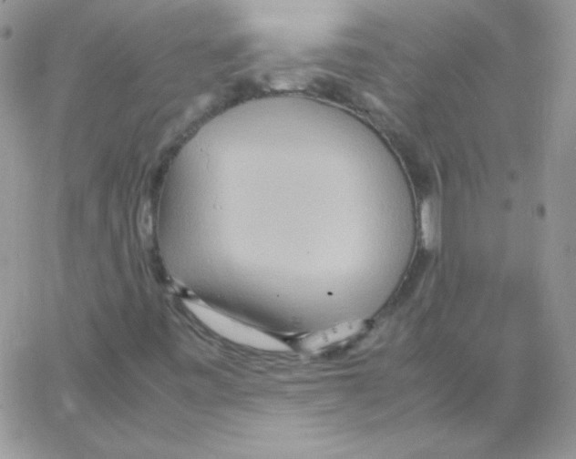 X0000064041443200602242309